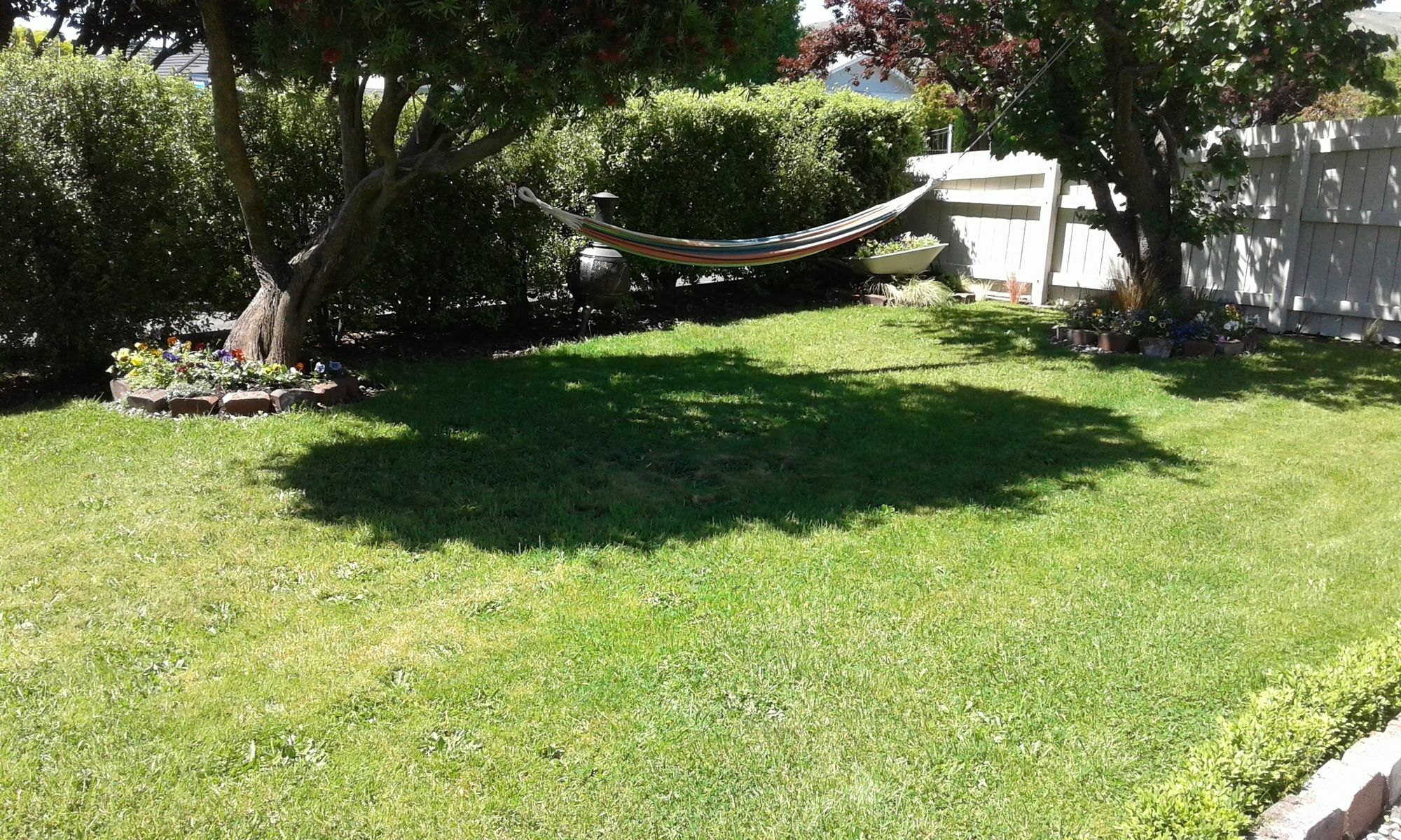 Coeden Cottage Blenheim Buitenkant foto