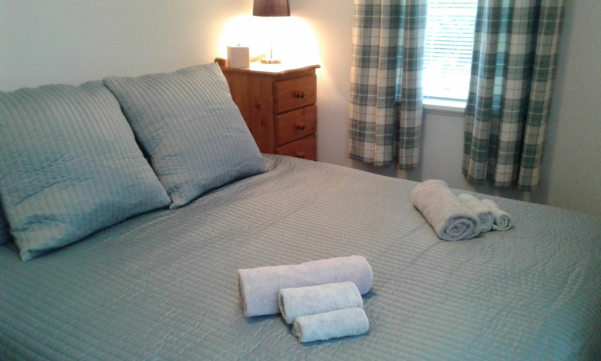 Coeden Cottage Blenheim Buitenkant foto
